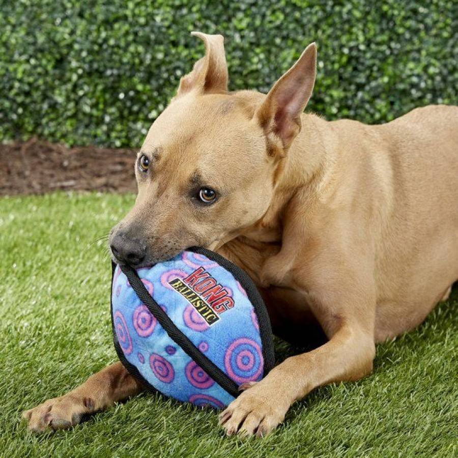 Dog Kong | Kong Ballistic Football Dog Toy, Color Varies