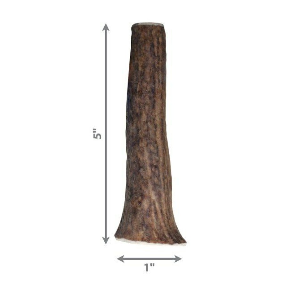 Dog Kong | Kong Wild Whole Elk Antler Dog Chew