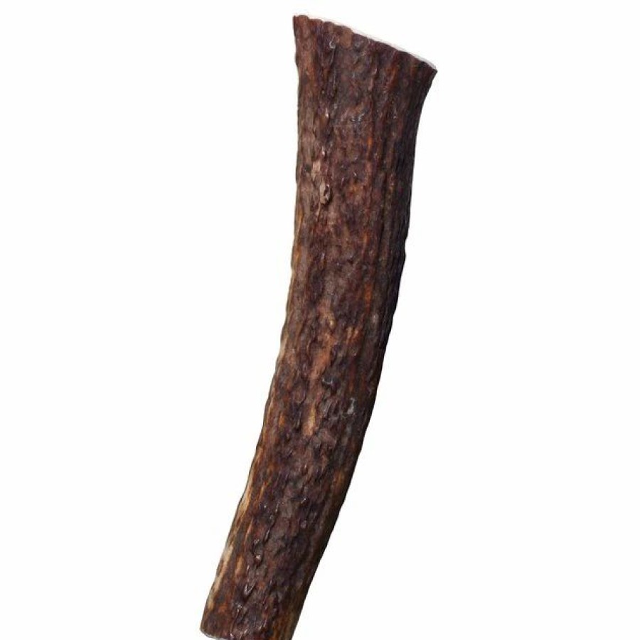 Dog Kong | Kong Wild Whole Elk Antler Dog Chew