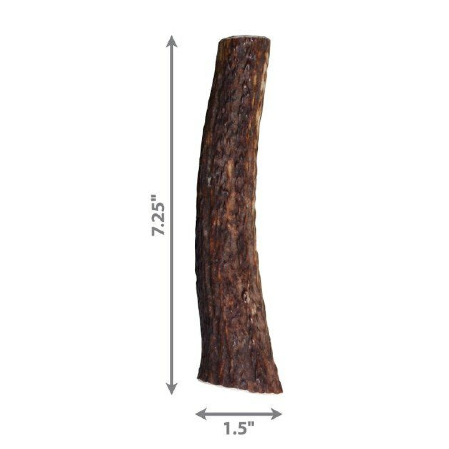 Dog Kong | Kong Wild Whole Elk Antler Dog Chew