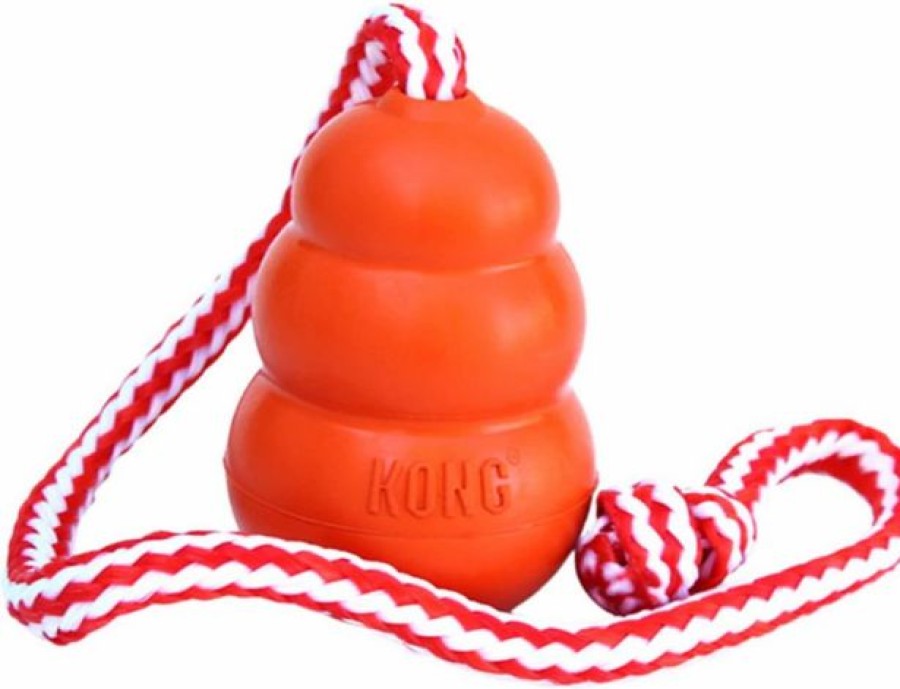 Dog Kong | Kong Aqua Dog Toy