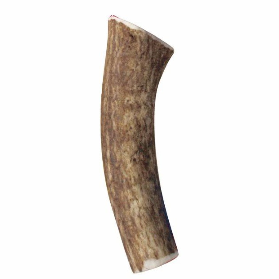 Dog Kong | Kong Wild Whole Elk Antler Dog Chew