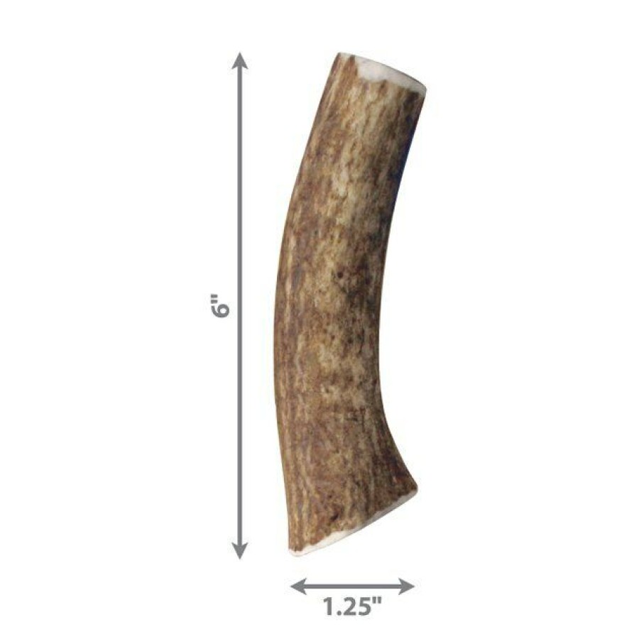 Dog Kong | Kong Wild Whole Elk Antler Dog Chew