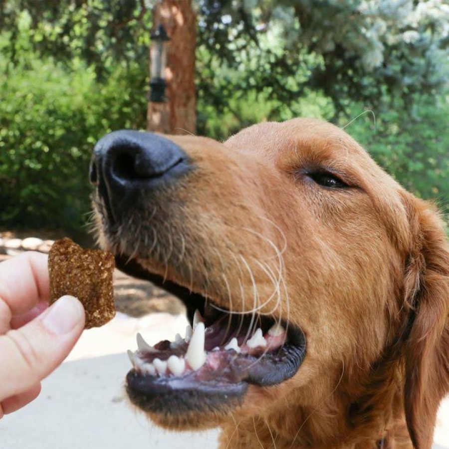 Dog Kong | Kong Kitchen Get Quackin' Grain-Free Duck Chewy Dog Treats, 5-Oz Bag