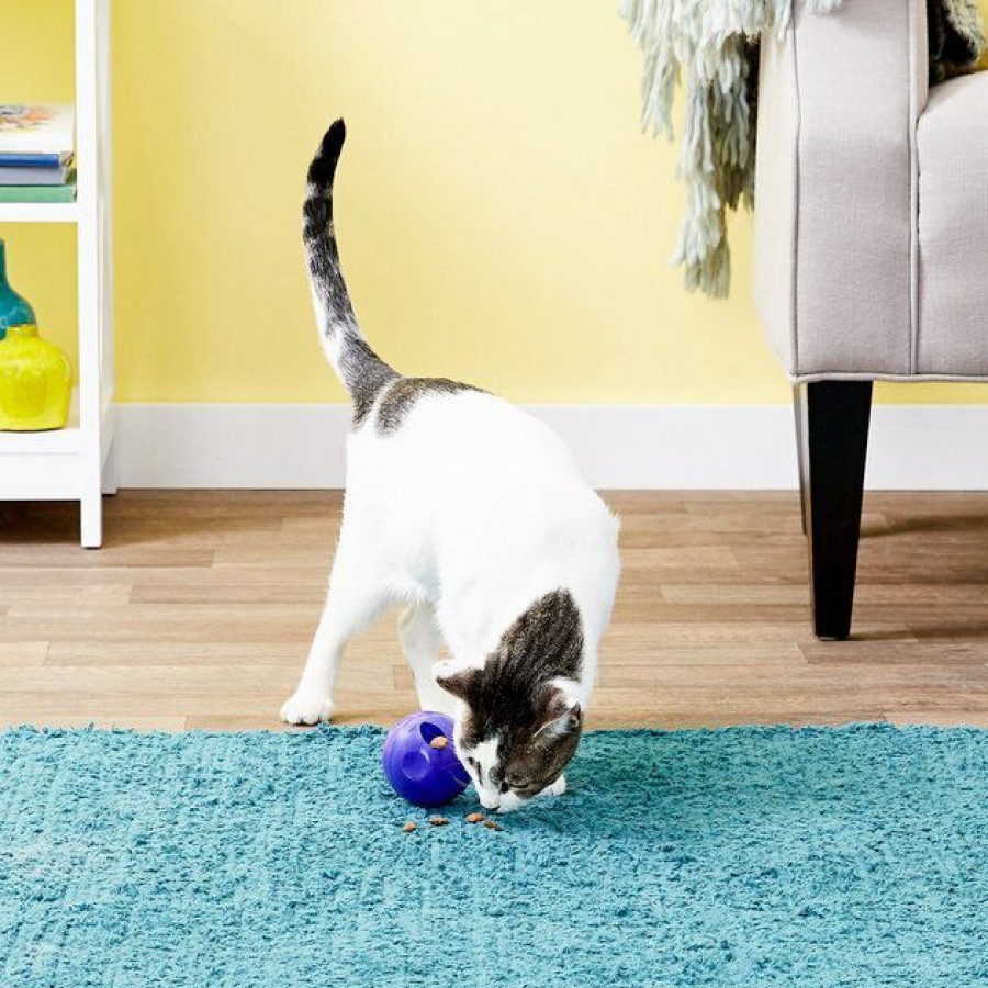 Cat Kong | Kong Active Treat Ball Cat Toy