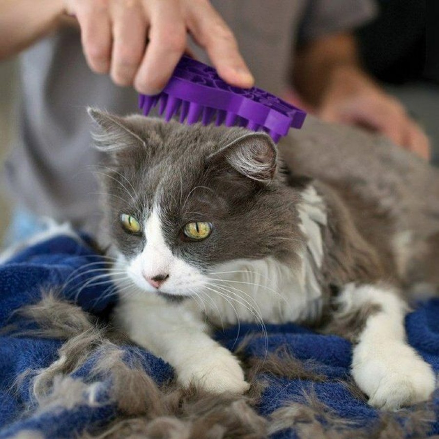 Cat Kong | Kong Cat Zoomgroom Multi-Use Brush