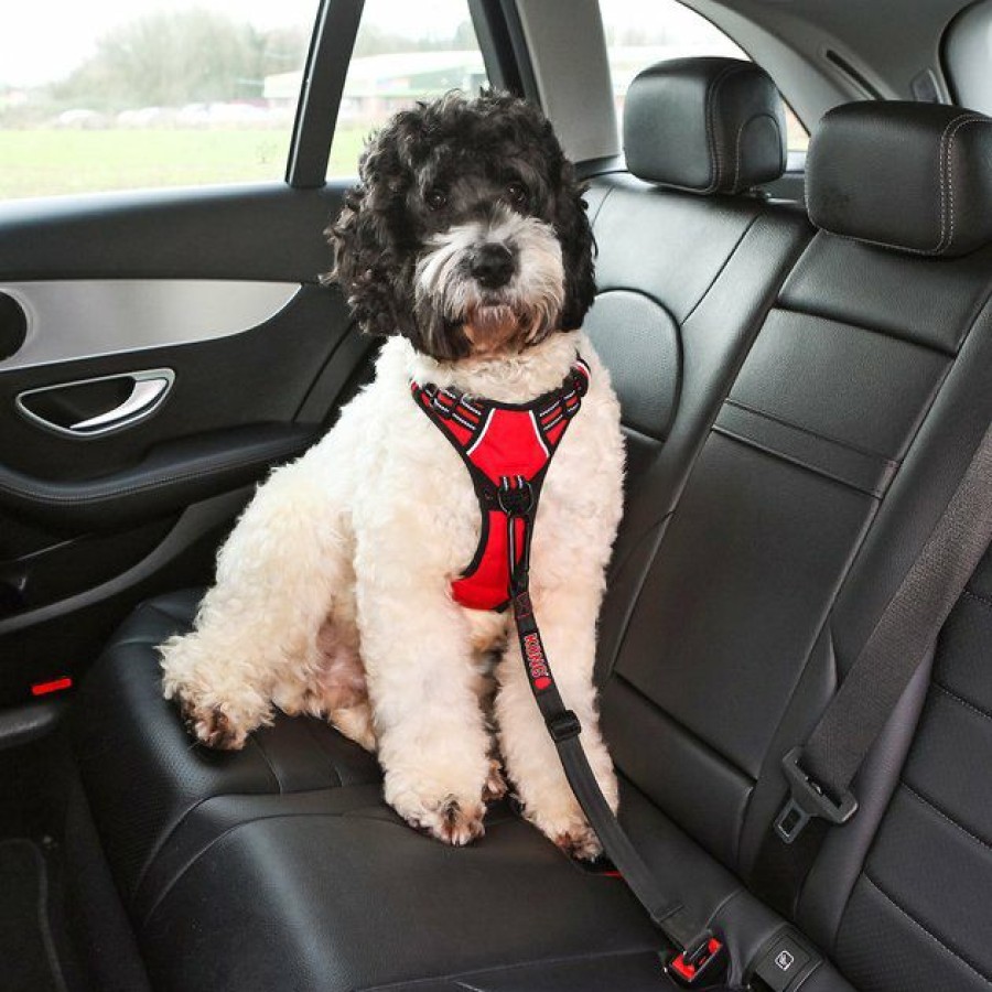 Dog Kong | Kong Seat Belt Dog Tether