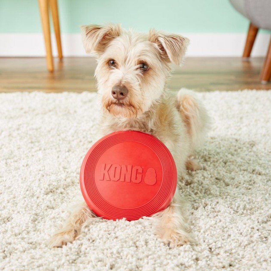 Dog Kong | Kong Classic Flyer Dog Toy