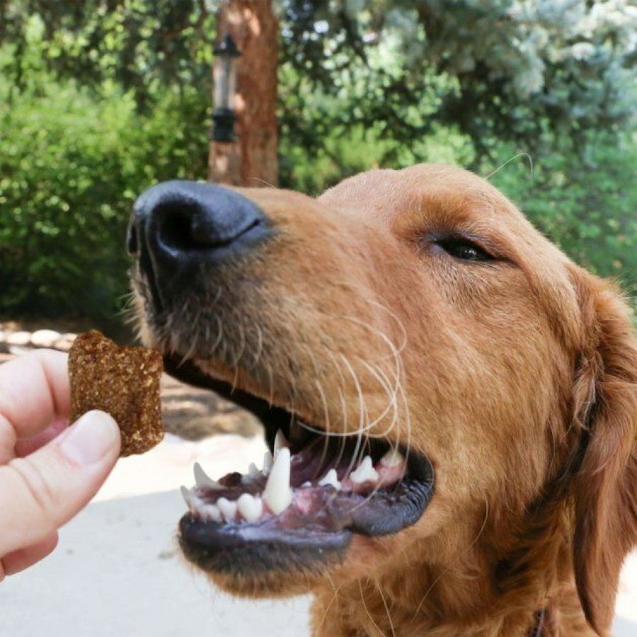 Dog Kong | Kong Kitchen Hooked On Trout Grain-Free Cod Chewy Dog Treats, 5-Oz Box