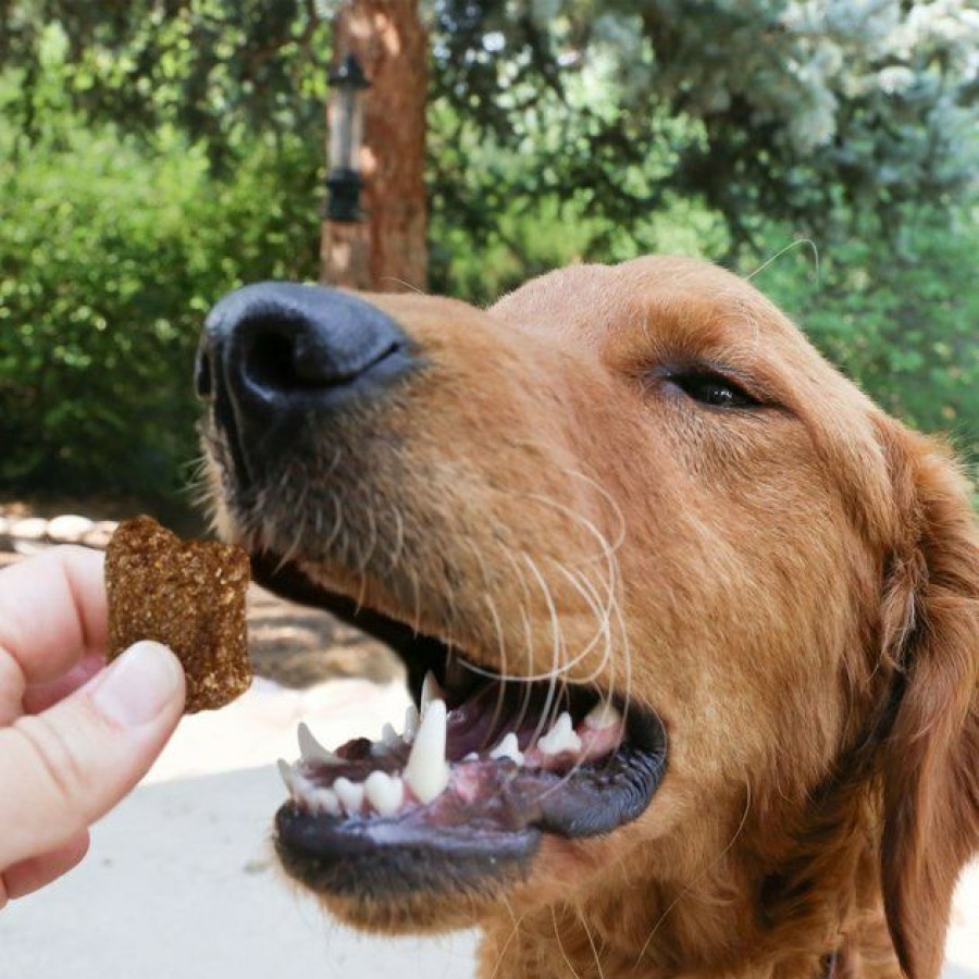 Dog Kong | Kong Kitchen Good Hare Day Grain-Free Rabbit Chewy Dog Treats, 5-Oz Box