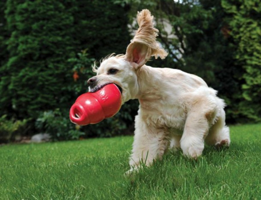 Dog Kong | Kong Bounzer Dog Toy