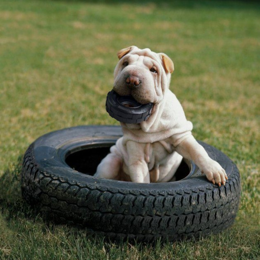 Dog Kong | Kong Tires Dog Toy