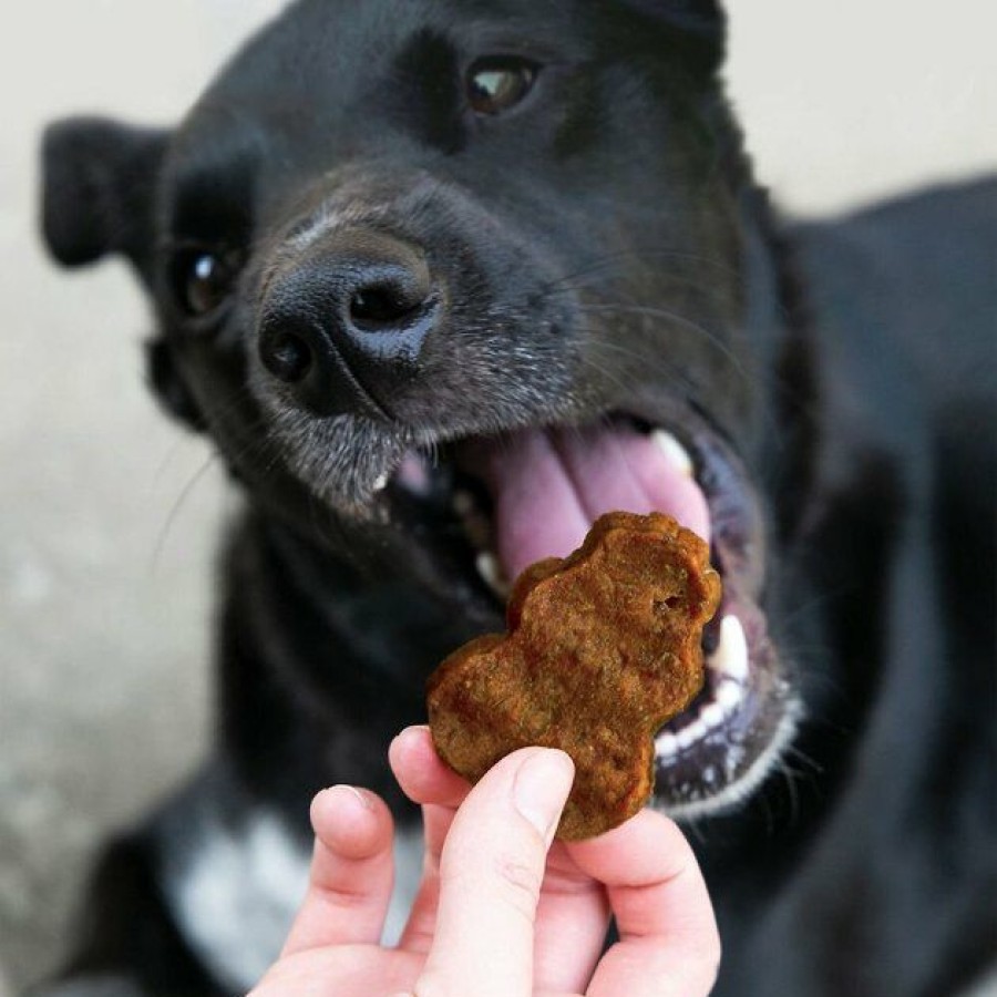 Dog Kong | Kong Jerky Beef Grain-Free Gluten-Free Soft & Chewy Dog Medium/Large Treats