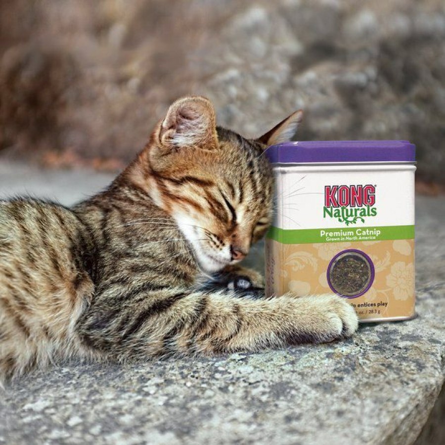 Cat Kong | Kong Naturals Premium Catnip