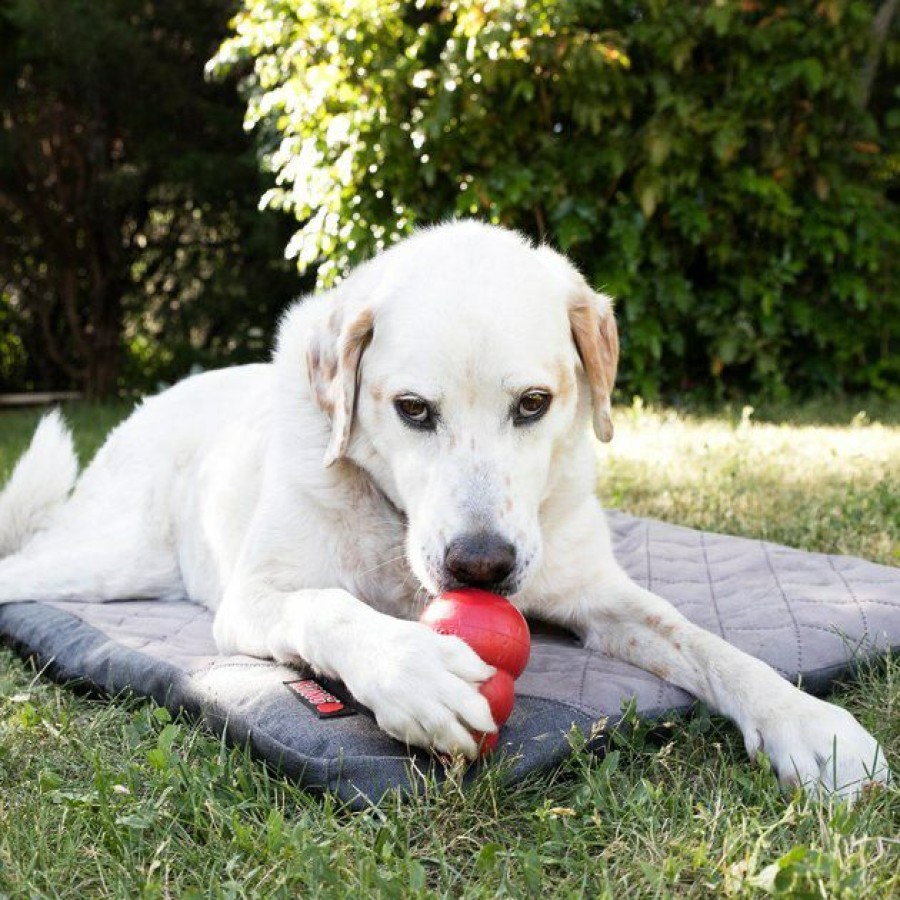 Dog Kong | Kong Fold-Up Dog Travel Mat